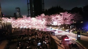 17799068_617215328469903_7457792041386801257_n